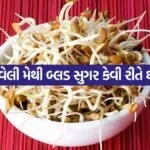 Sprouted Fenugreek 2807