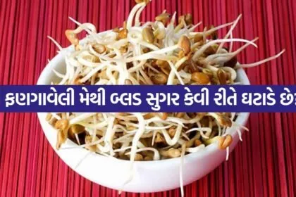 Sprouted Fenugreek 2807