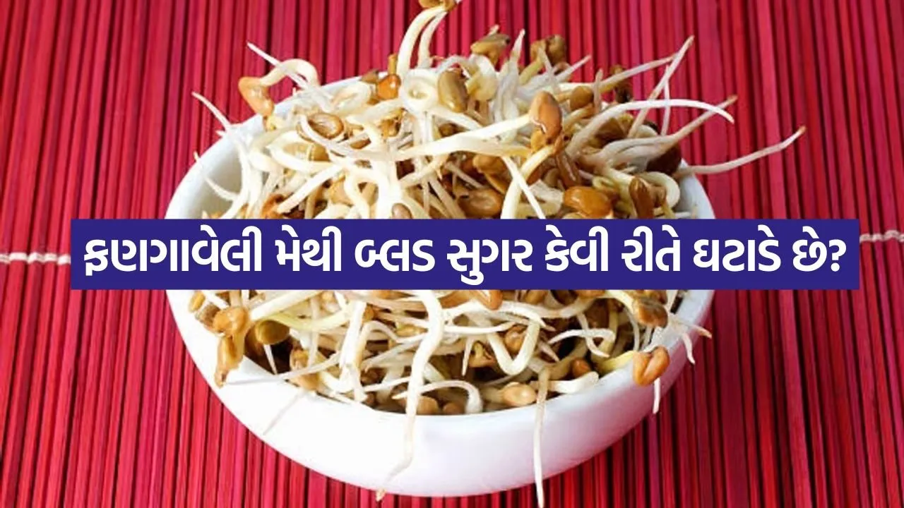 Sprouted Fenugreek 2807.jpg