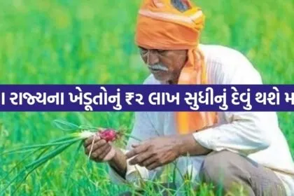 Farmer 3007