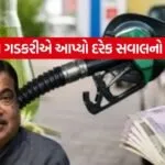 Nitin Gadkari 3007