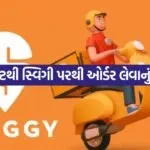 Swiggy 3007