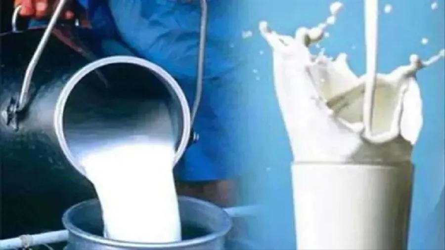 Food Adulteration