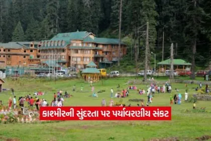 kashmir2