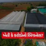 iNDIA 2026 07 30T183242.399