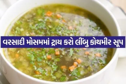 Lemon Coriander Soup 3007