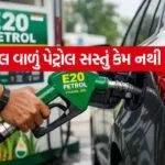 E 20 Petrol 3007