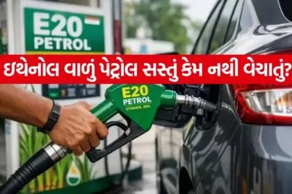 E 20 Petrol 3007