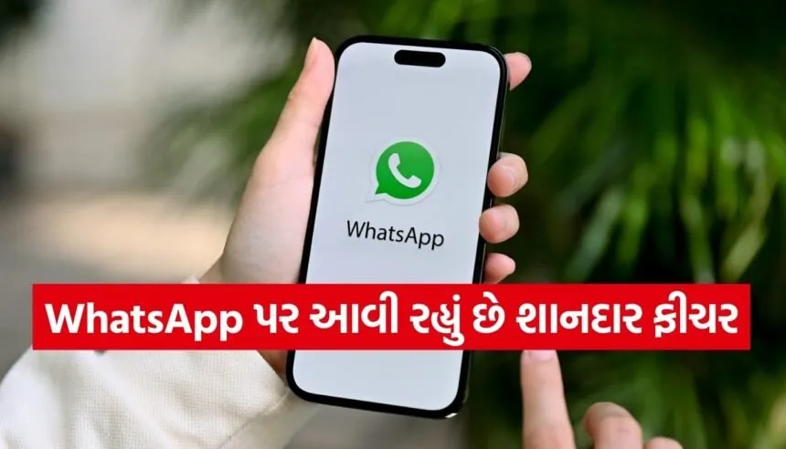 WhatsApp Feature