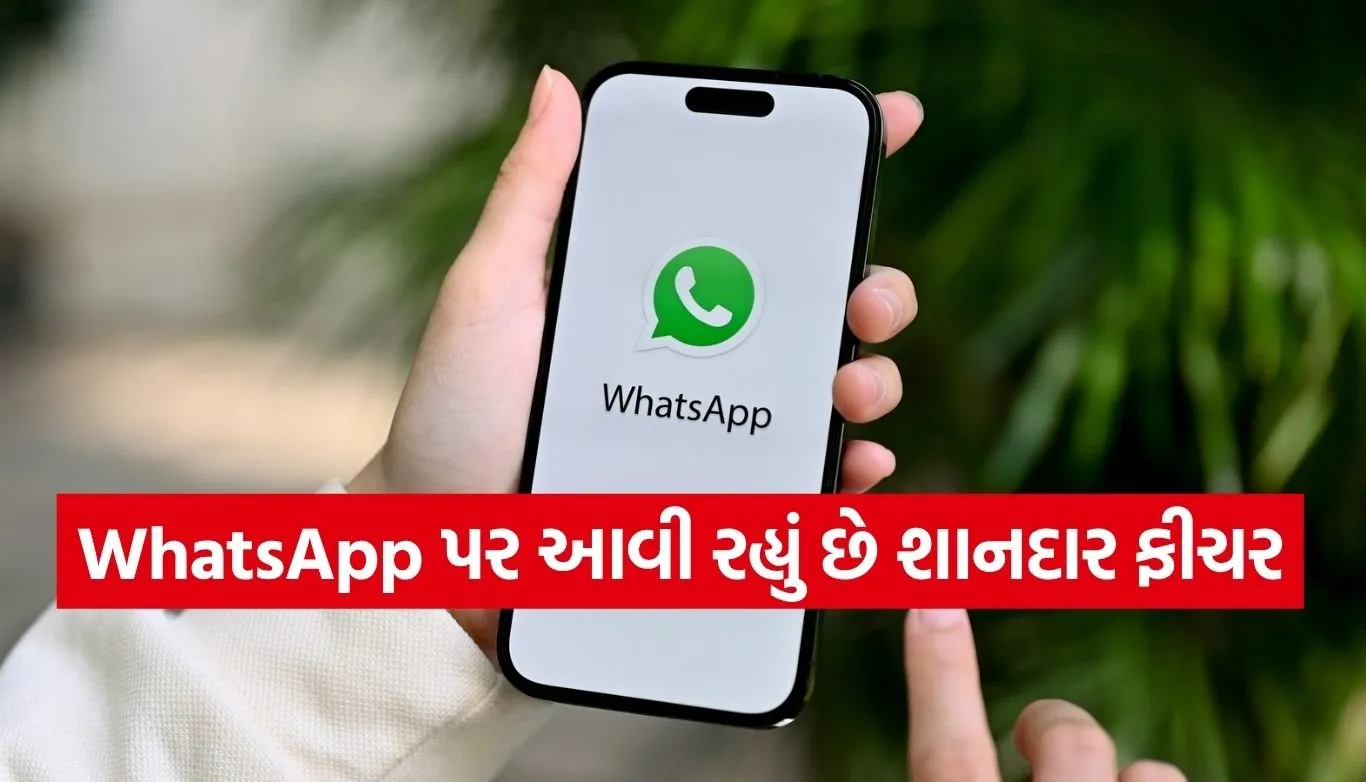WhatsApp Feature