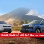 2MG Hector Hawk