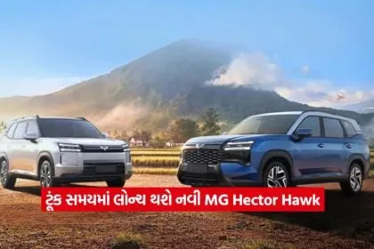 2MG Hector Hawk