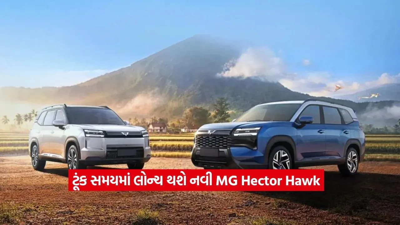 2MG Hector Hawk.jpg
