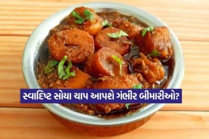 soya chaap2