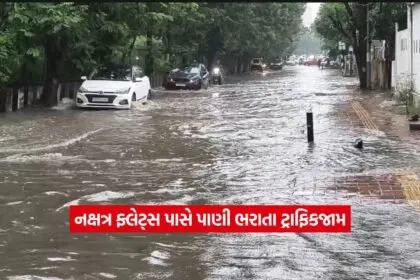 surat11