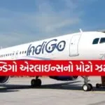 IndiGo Airline