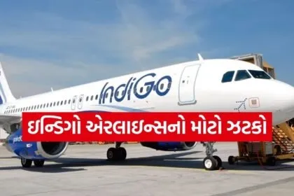 IndiGo Airline