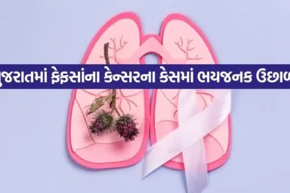 iNDIA 2026 08 01T120726.313