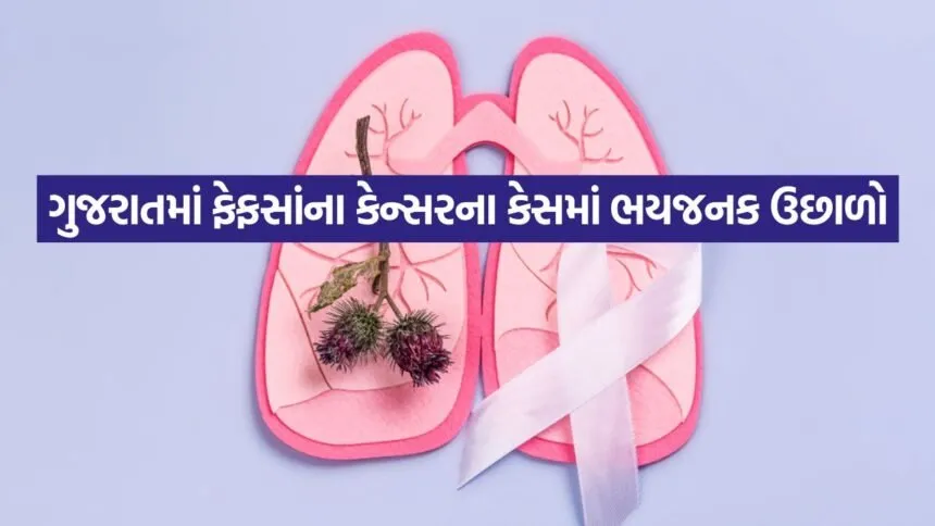 iNDIA 2026 08 01T120726.313