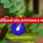 Aparajita Plant