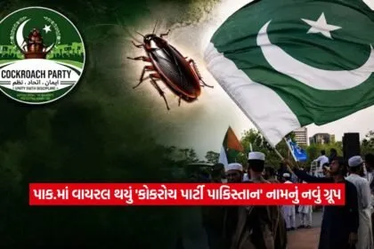 Cockroach Party Pakistan2