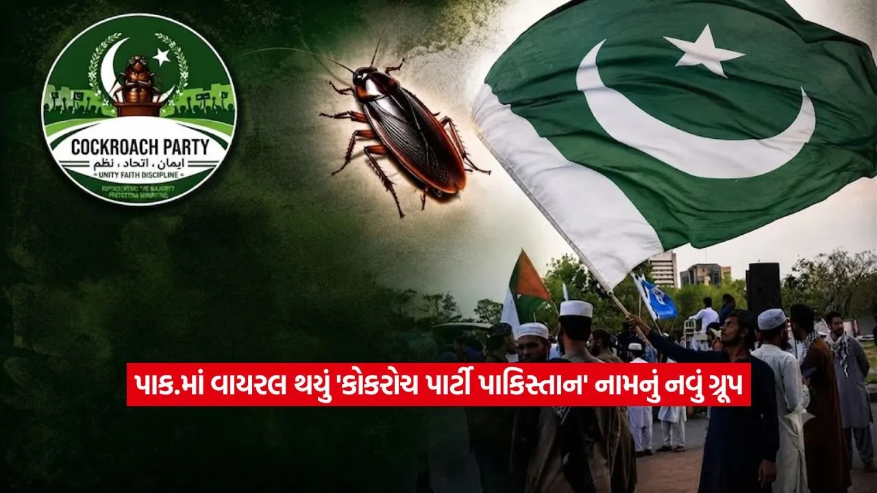Cockroach Party Pakistan2.jpg