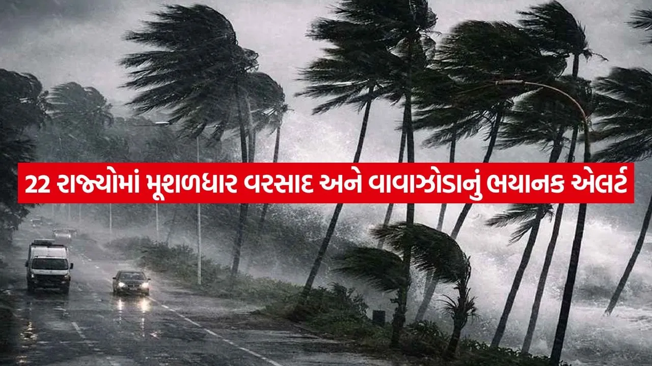 Gujarat Assam Rain Flood