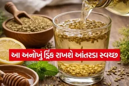 Methi Saunf Water 0308