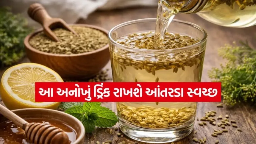 Methi Saunf Water 0308