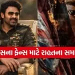 Fauji Movie