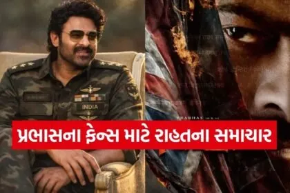 Fauji Movie