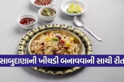 Sabudana Khichdi