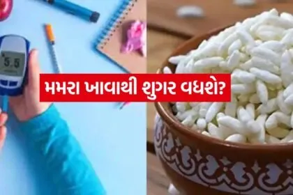 Diabetes and Puffed Rice 0408