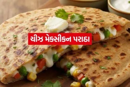 Cheese Mexican Paratha