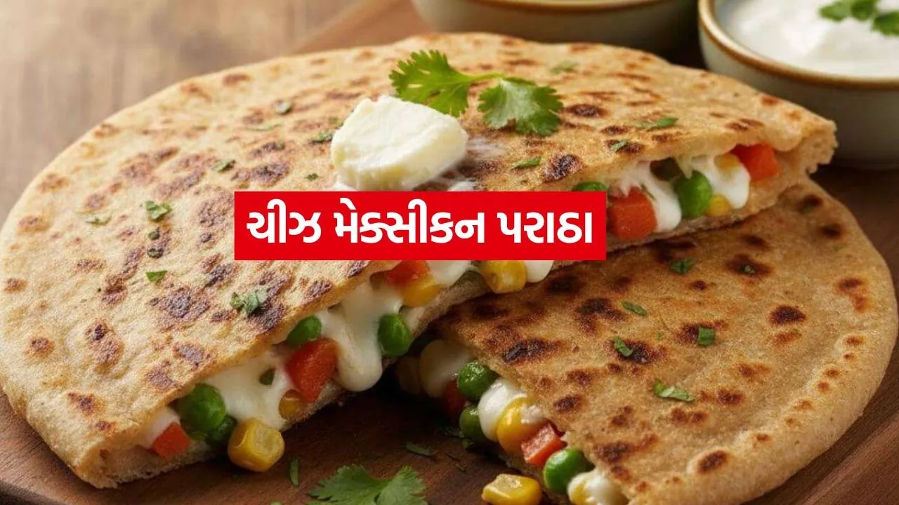 Cheese Mexican Paratha