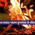 Havan Ritual