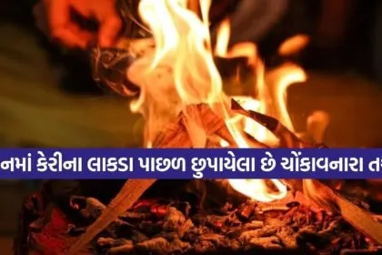 Havan Ritual