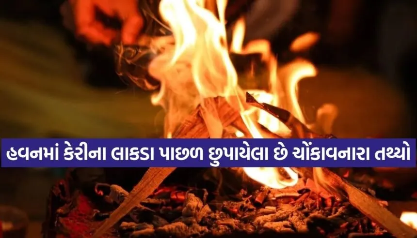 Havan Ritual