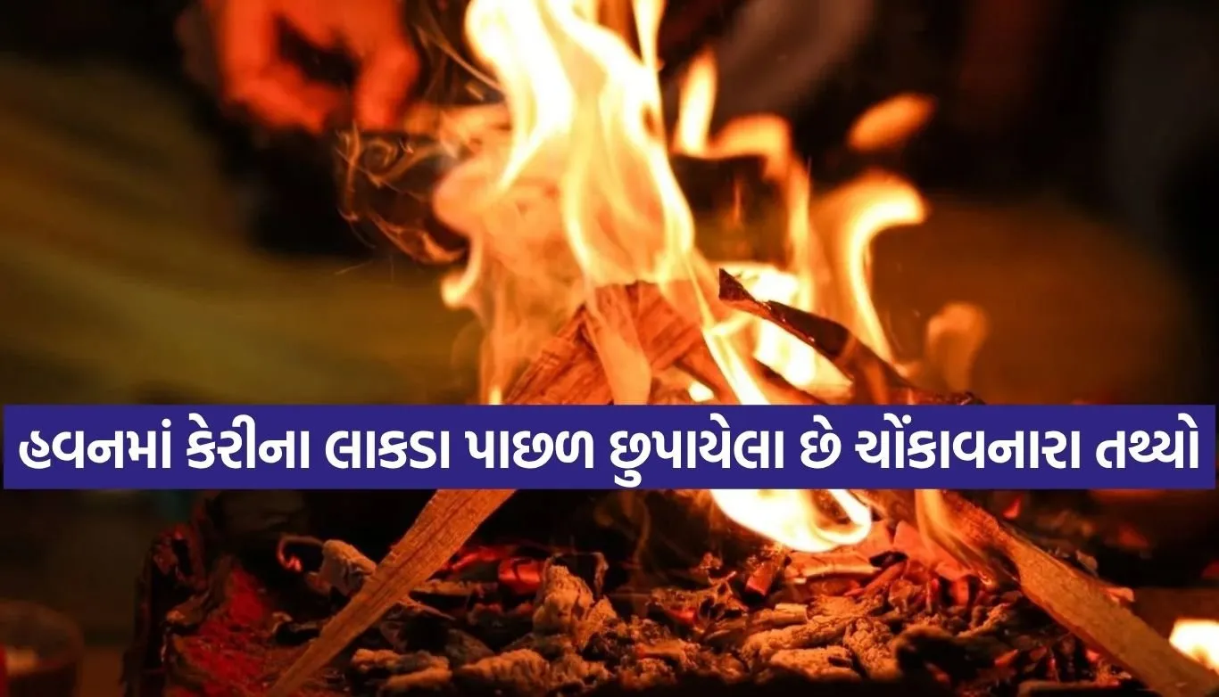 Havan Ritual