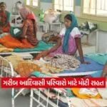 health23