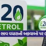 E20 Petrol Price Rumor