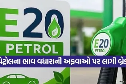 E20 Petrol Price Rumor