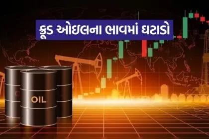 Crude oil 0508