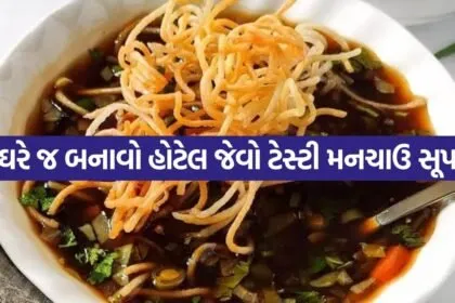 Veg Manchow Soup