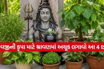 Sacred Plants