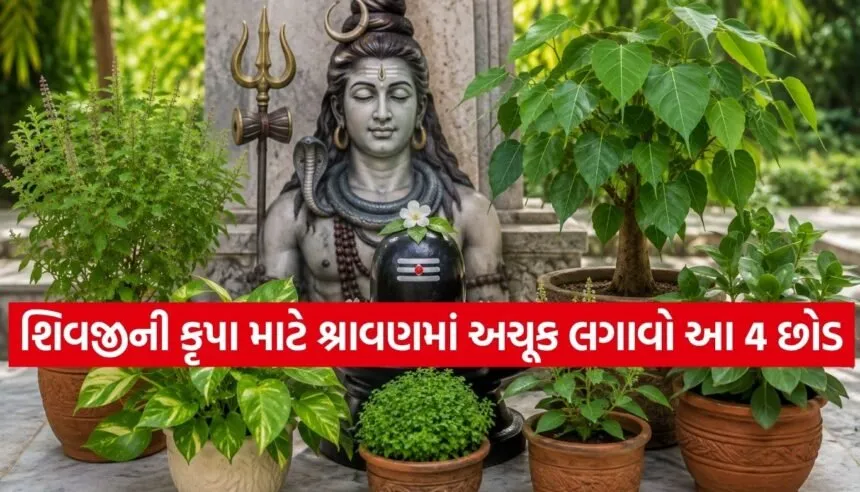 Sacred Plants