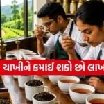 Tea Taster
