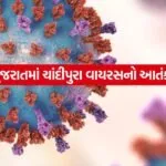 iNDIA 2026 08 05T153223.157