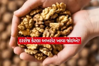 welnuts