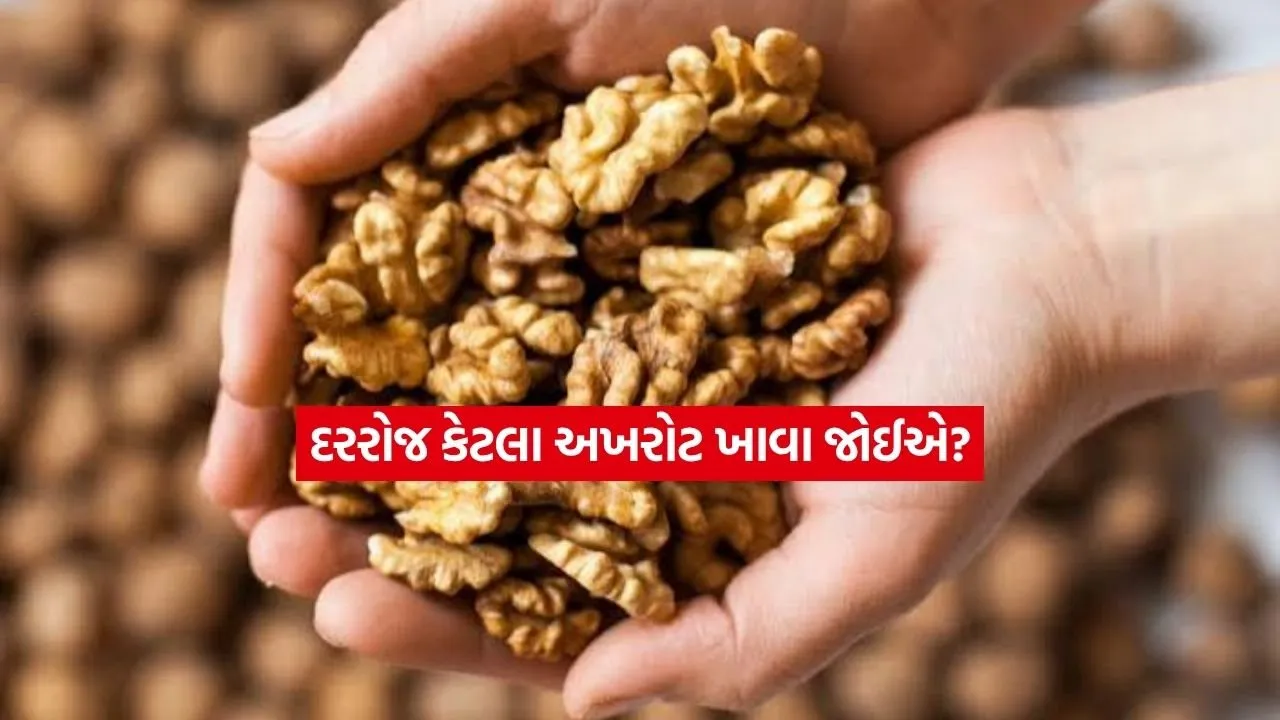 welnuts.jpg